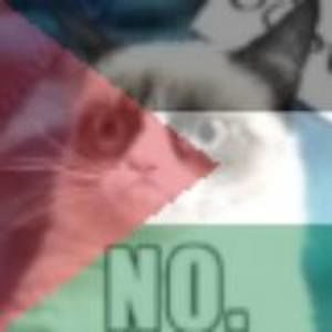 Meet your Posher, Bob